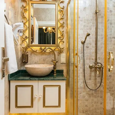 فندق Begonville Mansion Oldcity